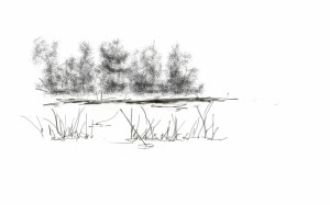 a slow day at Stanton Lake